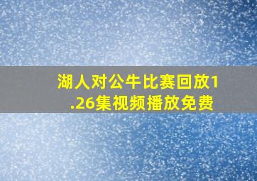 湖人对公牛比赛回放1.26集视频播放免费