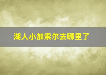 湖人小加索尔去哪里了