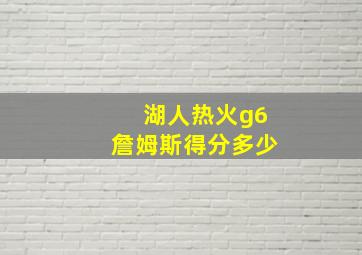 湖人热火g6詹姆斯得分多少