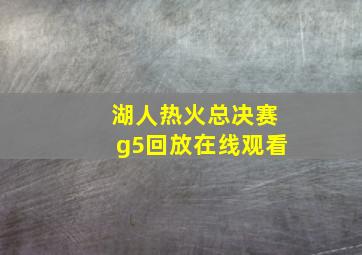 湖人热火总决赛g5回放在线观看