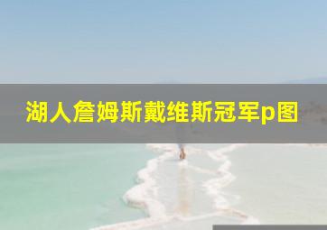 湖人詹姆斯戴维斯冠军p图