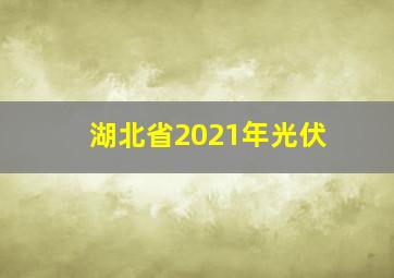 湖北省2021年光伏