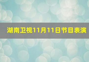 湖南卫视11月11日节目表演