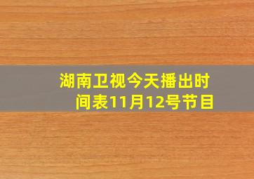 湖南卫视今天播出时间表11月12号节目