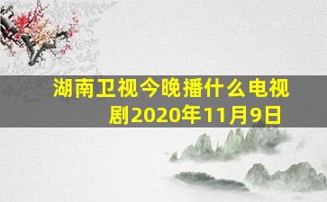 湖南卫视今晚播什么电视剧2020年11月9日