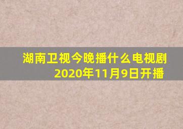 湖南卫视今晚播什么电视剧2020年11月9日开播