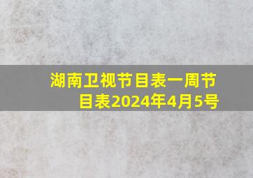 湖南卫视节目表一周节目表2024年4月5号