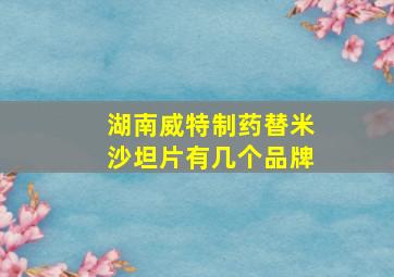 湖南威特制药替米沙坦片有几个品牌