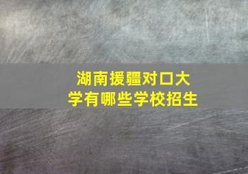 湖南援疆对口大学有哪些学校招生