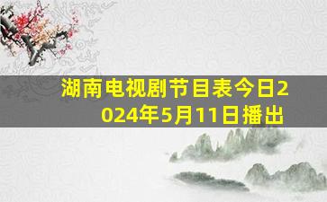 湖南电视剧节目表今日2024年5月11日播出