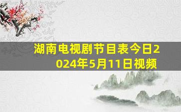 湖南电视剧节目表今日2024年5月11日视频