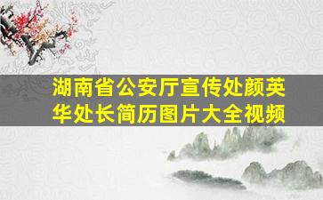 湖南省公安厅宣传处颜英华处长简历图片大全视频