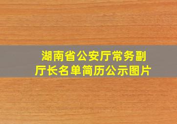 湖南省公安厅常务副厅长名单简历公示图片