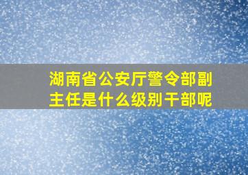 湖南省公安厅警令部副主任是什么级别干部呢