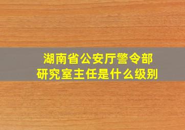 湖南省公安厅警令部研究室主任是什么级别