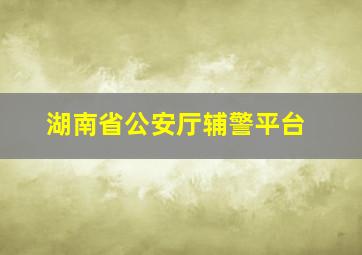 湖南省公安厅辅警平台