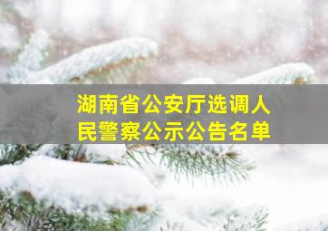 湖南省公安厅选调人民警察公示公告名单