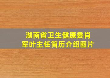 湖南省卫生健康委肖军叶主任简历介绍图片