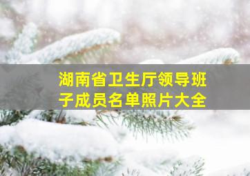 湖南省卫生厅领导班子成员名单照片大全