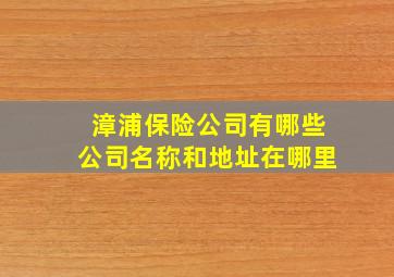 漳浦保险公司有哪些公司名称和地址在哪里