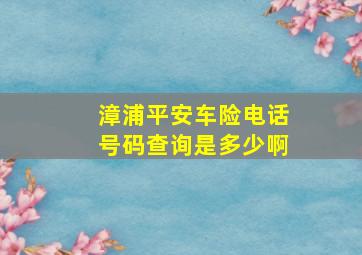 漳浦平安车险电话号码查询是多少啊