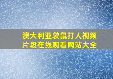 澳大利亚袋鼠打人视频片段在线观看网站大全