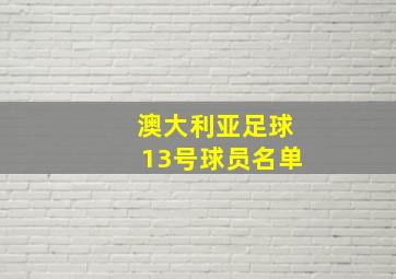 澳大利亚足球13号球员名单