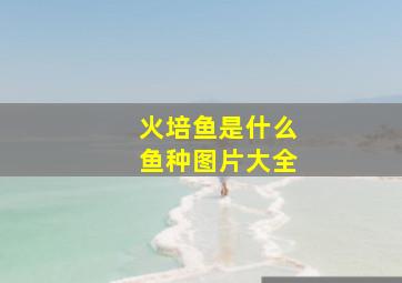 火培鱼是什么鱼种图片大全