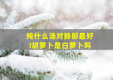 炖什么汤对肺部最好!胡萝卜是白萝卜吗