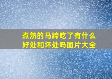 煮熟的马蹄吃了有什么好处和坏处吗图片大全