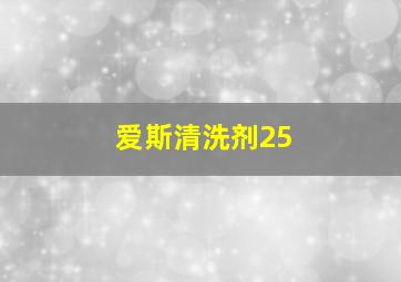 爱斯清洗剂25