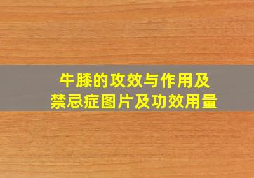 牛膝的攻效与作用及禁忌症图片及功效用量