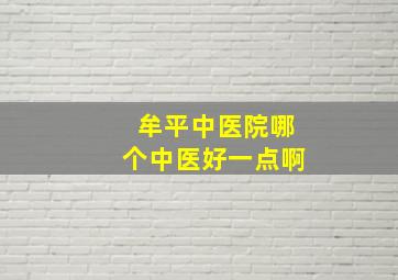 牟平中医院哪个中医好一点啊