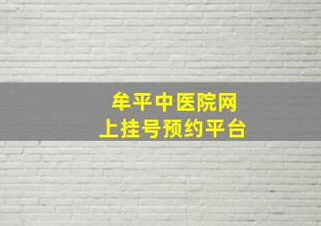 牟平中医院网上挂号预约平台