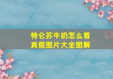 特仑苏牛奶怎么看真假图片大全图解