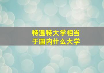 特温特大学相当于国内什么大学