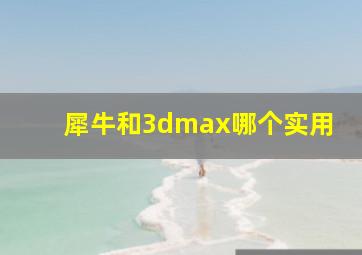 犀牛和3dmax哪个实用