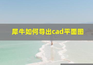 犀牛如何导出cad平面图