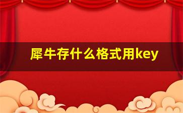 犀牛存什么格式用key