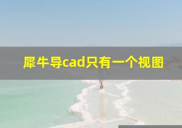 犀牛导cad只有一个视图