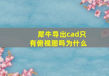 犀牛导出cad只有俯视图吗为什么