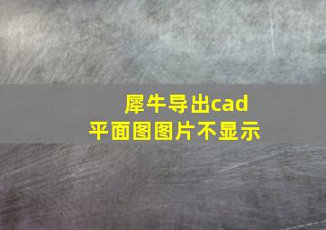 犀牛导出cad平面图图片不显示