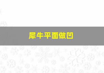 犀牛平面做凹