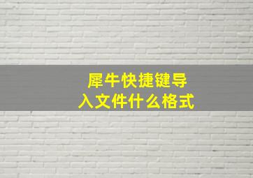 犀牛快捷键导入文件什么格式