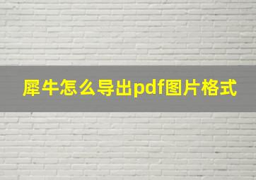 犀牛怎么导出pdf图片格式