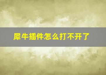 犀牛插件怎么打不开了