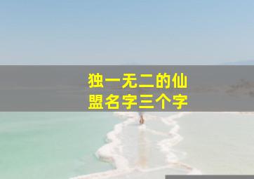 独一无二的仙盟名字三个字