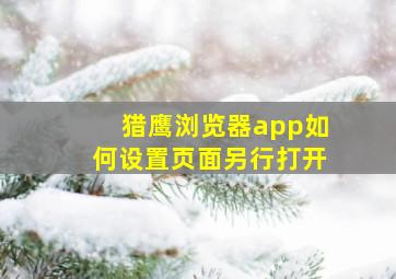 猎鹰浏览器app如何设置页面另行打开