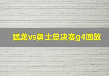 猛龙vs勇士总决赛g4回放