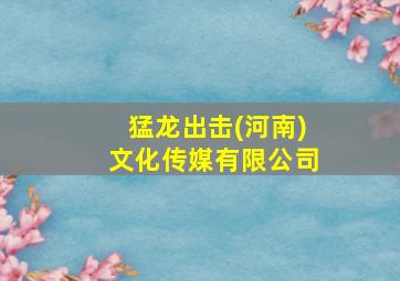 猛龙出击(河南)文化传媒有限公司